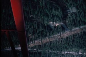 Carving home out of the wilderness.