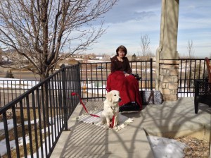 Learning about wheelchairs.