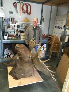 How to crate a moose