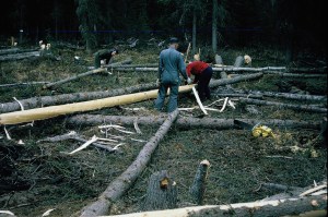 Not alone.  The power of more than one. 