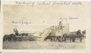 Headering Wheat - Oklahoma - Henry Gaede and Frank Janzen