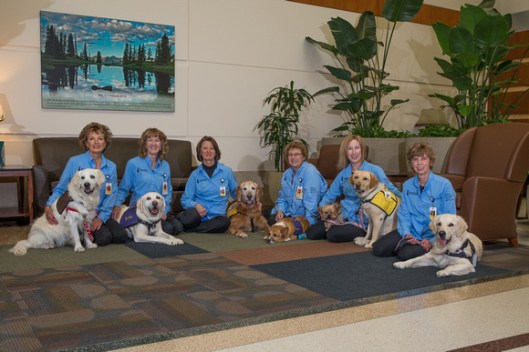 p2632583707-o460419907-3 copy