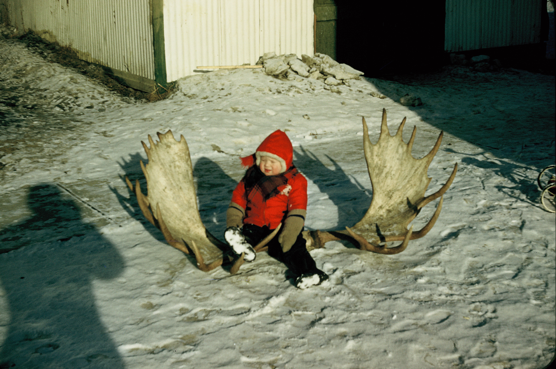 Mark with moose antlers