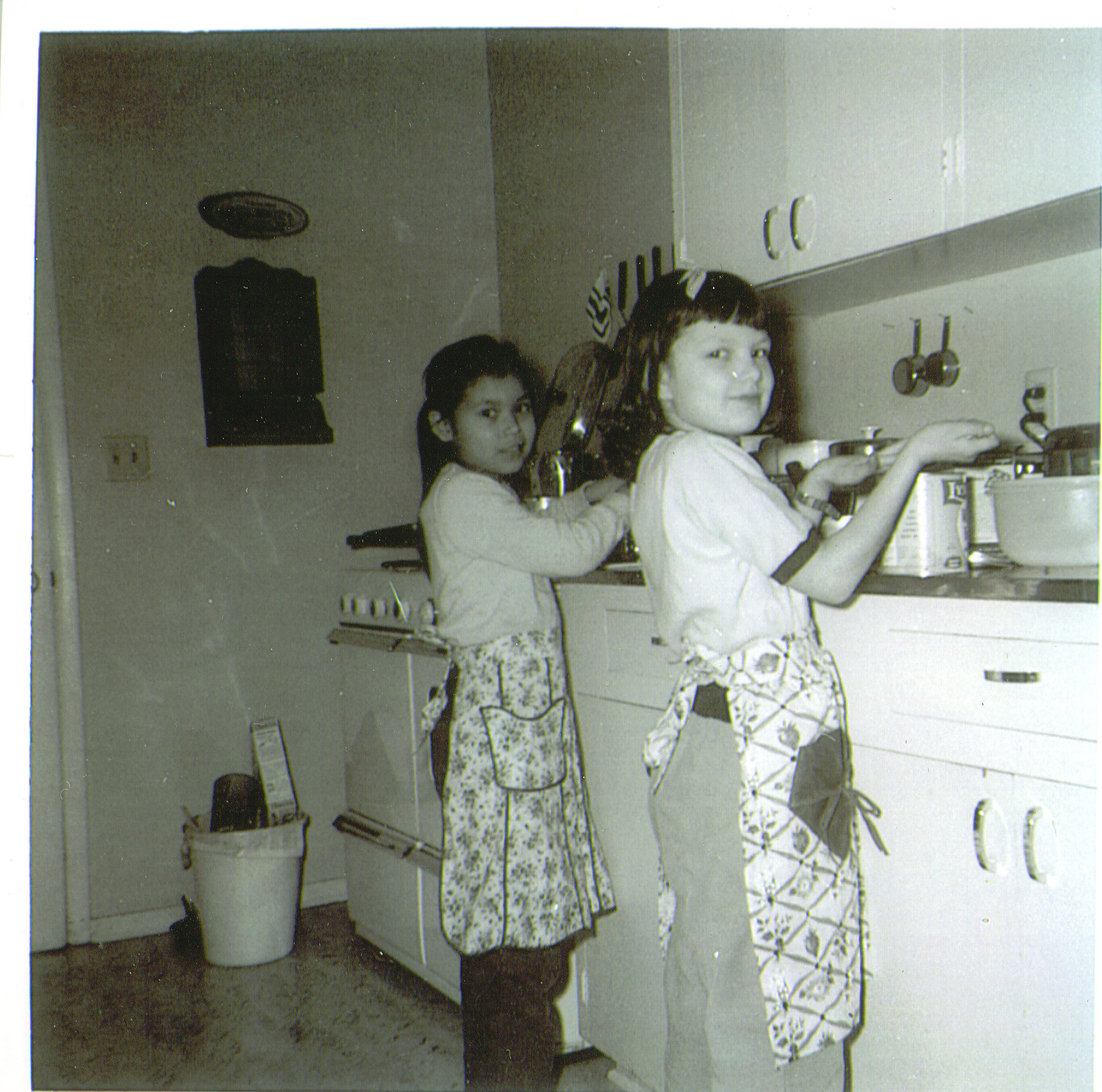Naomi-Sally Woods cookies Tanana jpg